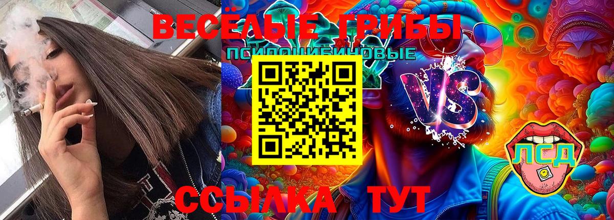 Галлюциногенные грибы Psilocybe  Галлюциногенные грибы Magic Shrooms  Вход с VPN  Россия 