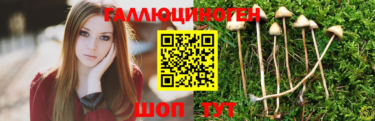 Псилоцибиновые грибы ЛСД Россия